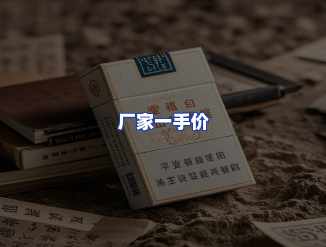 专业团队